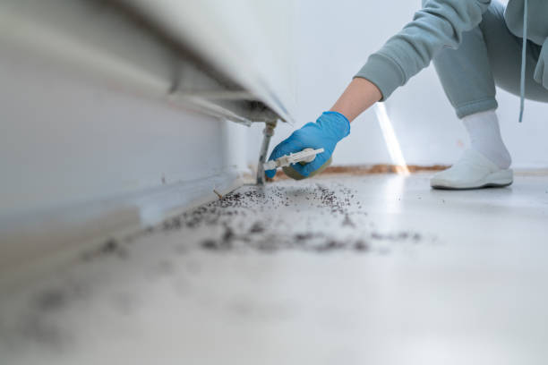 Flea Control Services in Ranchester, WY