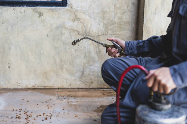 Best Mosquito Control Services  in Ranchester, WY