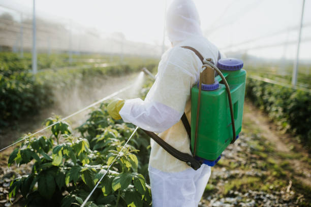 Best Residential Pest Control  in Ranchester, WY